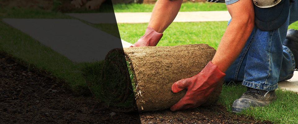 Thorndale Landscapers